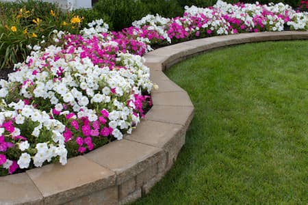 Retaining Wall Cleaning